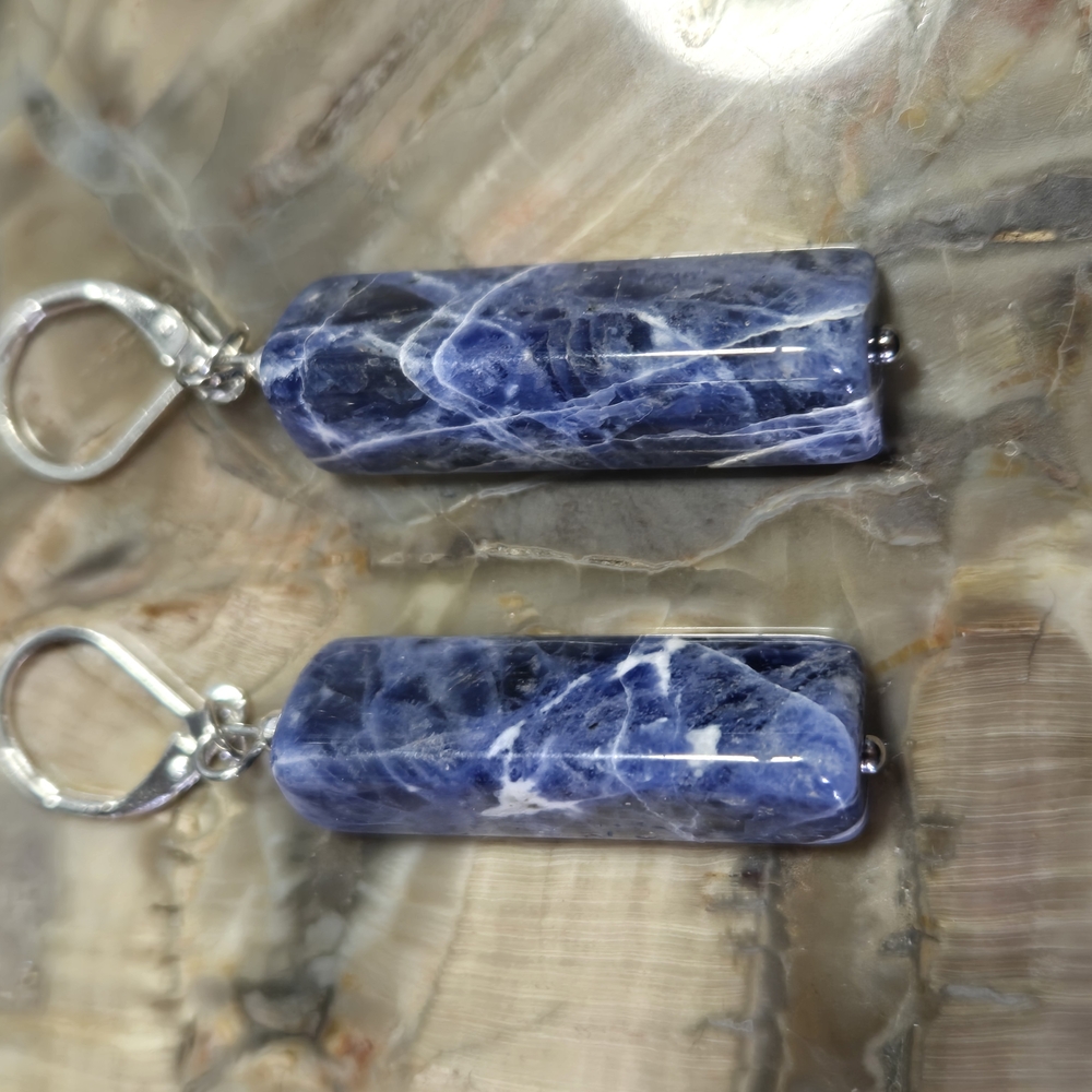 Sodalite Earrings